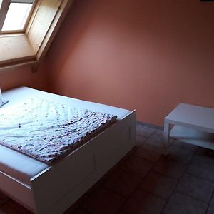 Ferienwohnung Gästezimmer in traumhafter Lage neben der Kurstadt Oberthulba Exterior photo