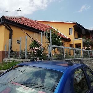 Ferienwohnung Casa Darius Orşova Exterior photo