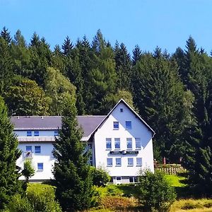 Hotel Greizer Kammhütte Gaststätte&Pension Klingenthal Exterior photo