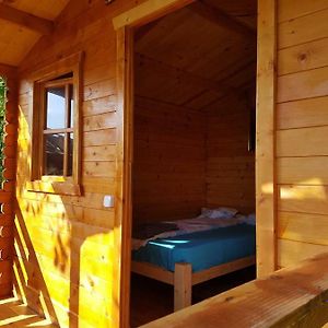 Villa Retezat Retreat - Wood Cabin Clopotiva Exterior photo