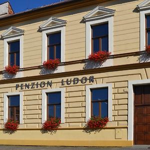 Hotel Penzion Ludor Strážnice Exterior photo