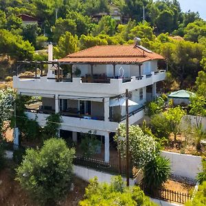 Villa Saronic Seafront Salamís Exterior photo