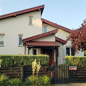 Villa Willa W Korniku - Blisko Poznania Exterior photo
