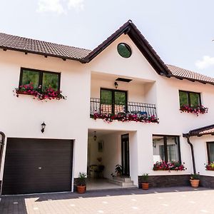 Hotel Vila Rodica Transalpina Şugag Exterior photo