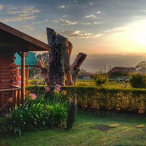 Grandpas Hotel&Restaurante Cartago Exterior photo