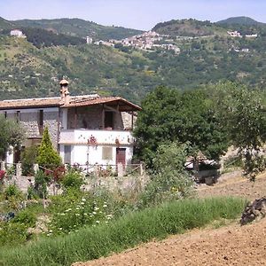 Villa Agriturismo Acampora Cerchiara di Calabria Exterior photo