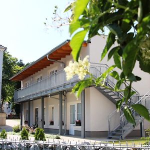 Hotel Pension Am Ziegelwall Bautzen Exterior photo