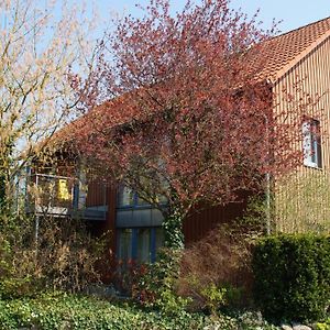 Hotel Gästehaus/FeWos/Boardinghaus Lüneburg Süd Exterior photo