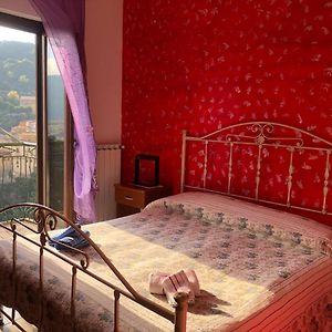 Bed and Breakfast Al Castello Castelmezzano Exterior photo