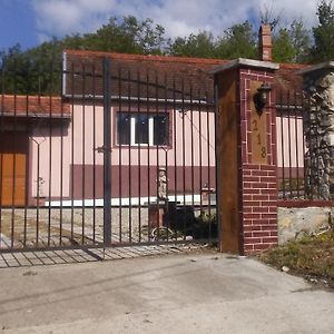 Hotel Casa Dragoi Din Socolari, Caras - Severin Exterior photo