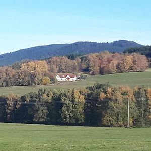 Ferienwohnung Novohradky - Oaza Klidu Na Samote U Lesa Benesov nad Cernou Exterior photo