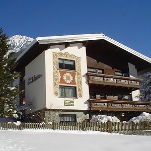 Ferienwohnung Haus Lifinar - Carmen Juen Sankt Gallenkirch Exterior photo