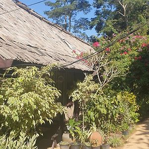 Hotel Nong Kiau Riverside Nongkhiaw Exterior photo