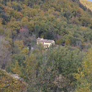 Bed and Breakfast Casa Vacanze - La Casina Di Lalla - Greccio Exterior photo