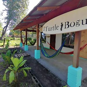 Hotel Casa Turtle Bogue Tortuguero Exterior photo