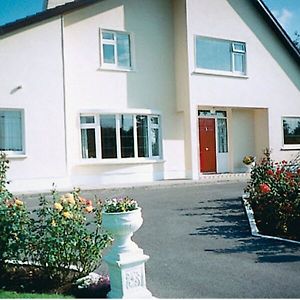 Bed and Breakfast Nephin Ballinasloe Exterior photo