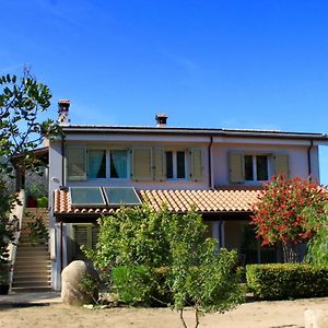 Bed and Breakfast Rossofiore Castiadas Exterior photo