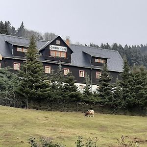 Hotel Pension Gaststätte Tannenhof Saupsdorf Exterior photo