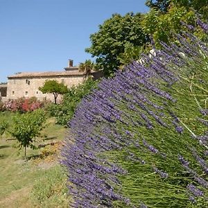 Bed and Breakfast Domaine De Cousignac Bourg-Saint-Andéol Exterior photo