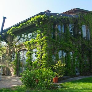 Villa La Casa Sopra Le Nuvole Medesano Exterior photo