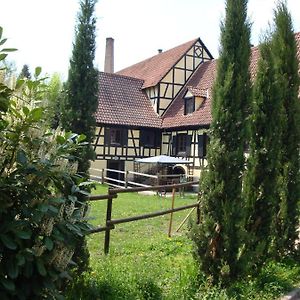 Villa Maison de vacances Alsace - Ferienhaus Elsaß - Holiday house Alsace Bischwiller Exterior photo