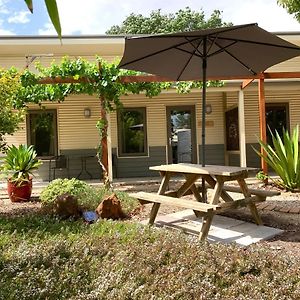 Hotel The Grape And Olive At Willunga Exterior photo