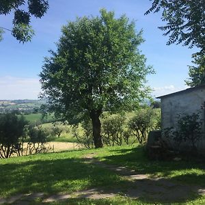 Bed and Breakfast Bed&Breakfast Montségur Senigallia Exterior photo