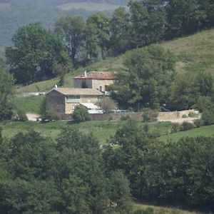 Villa Domaine De Lavade Verfeil-sur-Seye Exterior photo