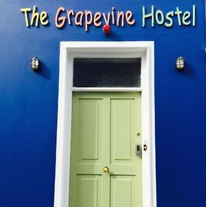 The Grapevine Hostel Dingle Exterior photo
