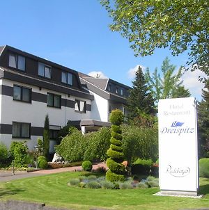 Hotel - Garni - Dreispitz Hofheim am Taunus Exterior photo