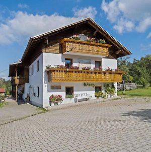 Cosy Farmhouse Apartment In Bavaria Near The Arber Ski Area Neukirchen beim Heiligen Blut Exterior photo