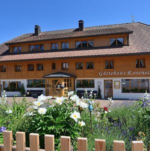 Ferienwohnung Gästehaus Roseneck Todtmoos Exterior photo