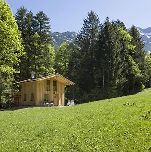Villa Chalet Auszeit Walchsee Exterior photo
