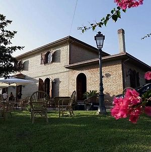 Villa Amalia Gizzeria Exterior photo