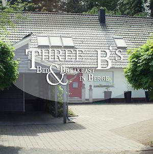 Three B'S Bed And Breakfast Berge  Exterior photo