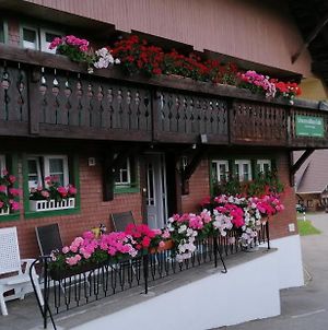 Ferienwohnung Schwarzwaldhaus Kathi Todtmoos Exterior photo
