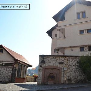 Pensiunea Casa Cranta Brașov Exterior photo