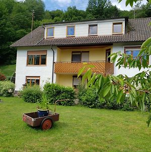 Ferienwohnung, Monteurwohnung - feel at home - Frammersbach Exterior photo