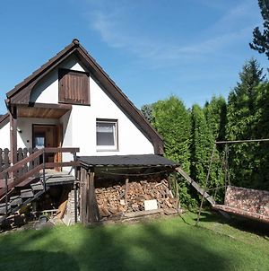 Cosily Furnished Holiday Home In The Vogtland With Terrace And Swimming Pool Bad Reiboldsgrün Exterior photo