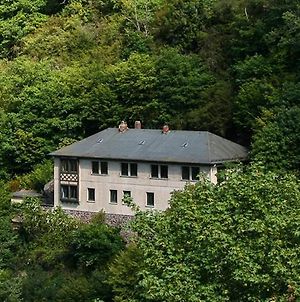 Villa Haus am Berg Bad Bertrich Exterior photo