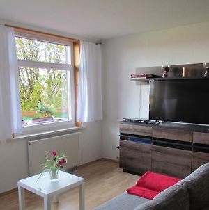 Ferienwohnung Apartement am Wolfsberg Reinhardtsdorf-Schona Exterior photo