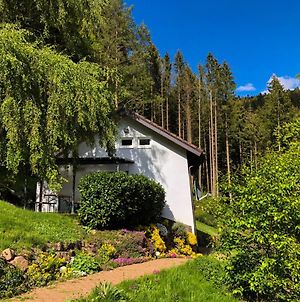 Villa Surrbach Chalet Baiersbronn Exterior photo