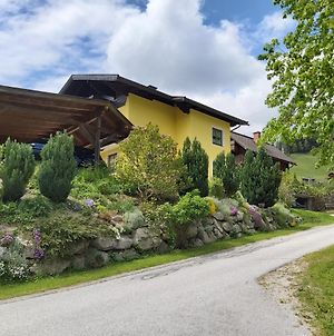 Bed and Breakfast Haus Silvia Kraml Schladming Exterior photo