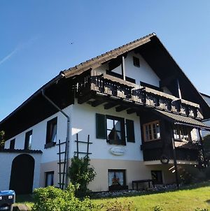 Haus Im Arnikagrund - Ferienwohnung&Privatzimmer Braunlage Exterior photo