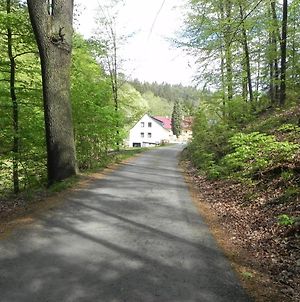 Villa Ferienhaus Buschmuehle - Stolpen Exterior photo