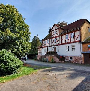 Ferienwohnung auf idyllischen Gestüt auf historischen Gutshof in Hessen Bad Hersfeld Exterior photo