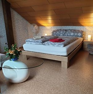 Sonnige ruhige Dachzimmer inkl WIFI plus Kaffee mit WG Dusche und neuer Küche Lörrach Exterior photo