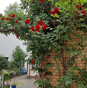 Ferienwohnung Fewo Rosenblüte am Stadtpark Wittenberg Exterior photo