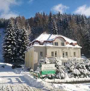 Villa Horska Chata Pod Lanovkou Jáchymov Exterior photo