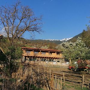 NEUE Ferienwohnungen auf dem Gebreitnerhof, Urlaub auf dem Bauernhof Brixen Exterior photo